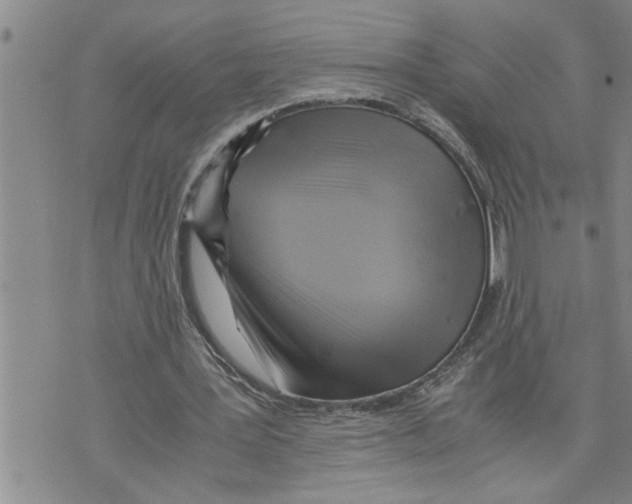 X0000075820387200610151500