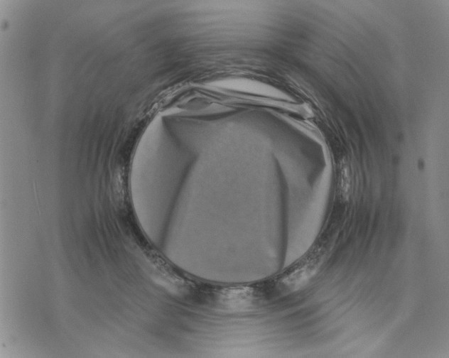 X0000075820410200610151500