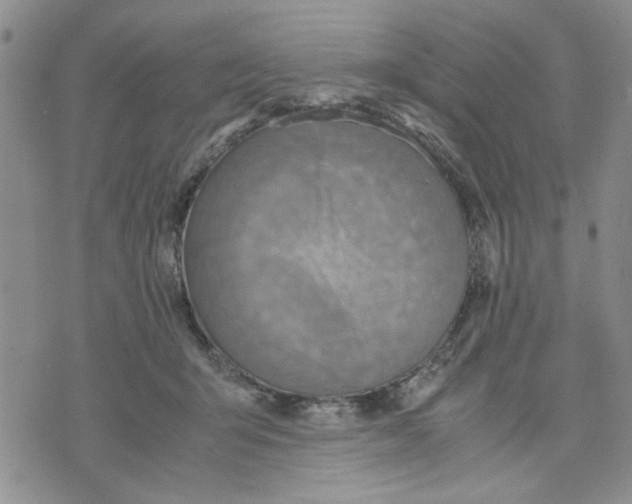X0000075820415200610151500