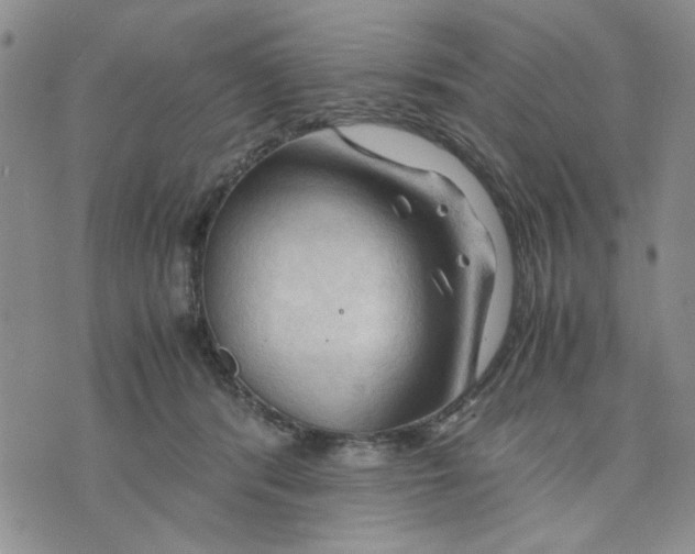 X0000075820416200610151500