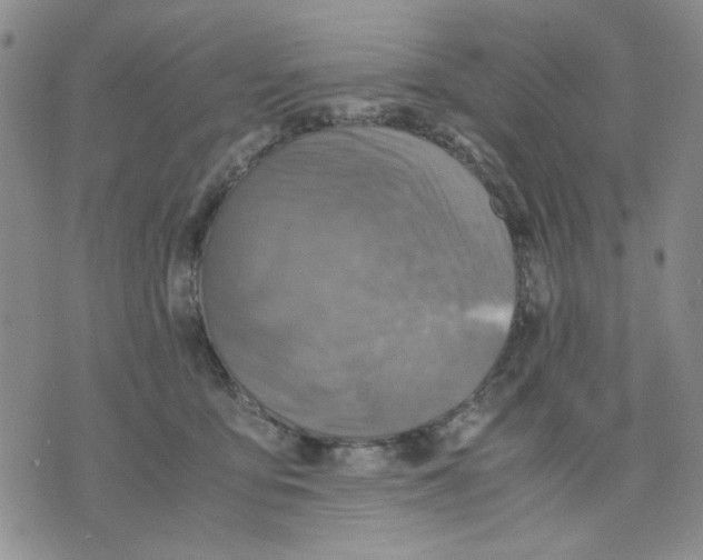 X0000075820419200610151500