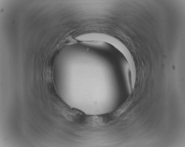 X0000075820421200610151500