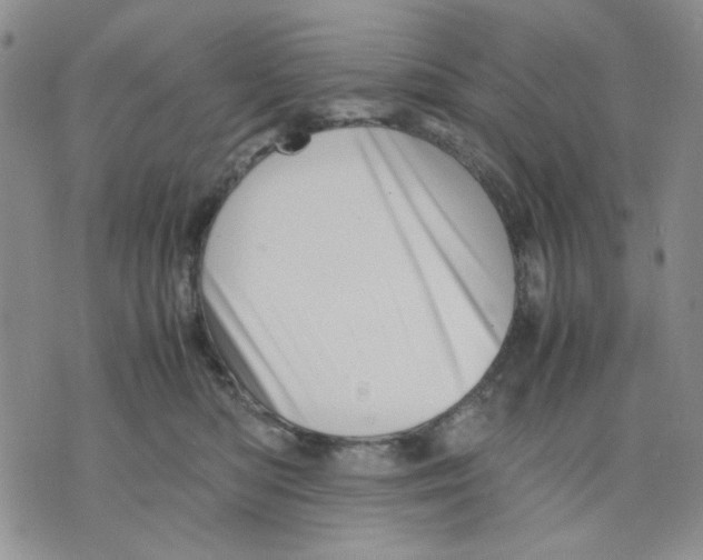 X0000075820422200610151500
