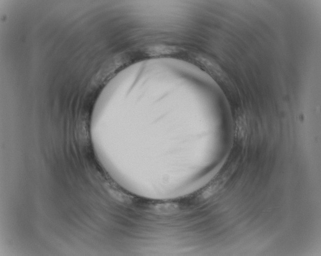 X0000075820426200610151459