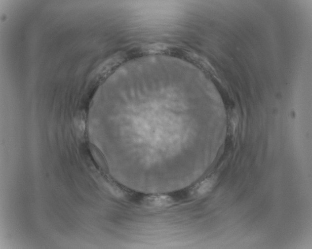 X0000075820427200610151459