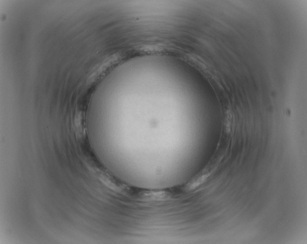 X0000075820428200610151459