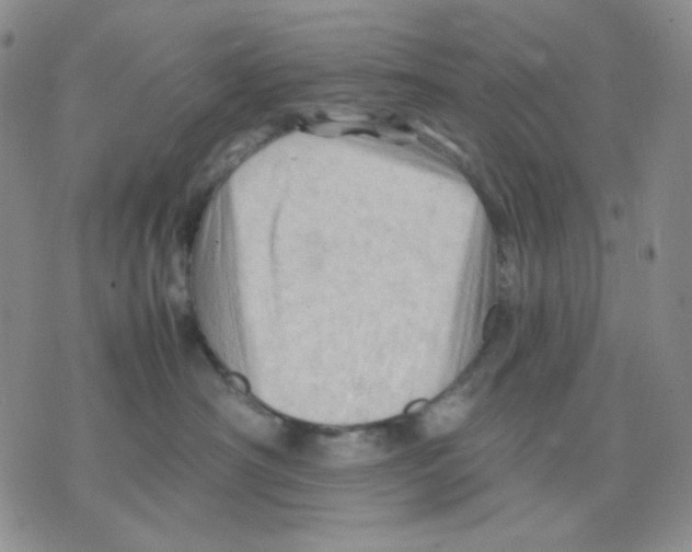 X0000075820430200610151459
