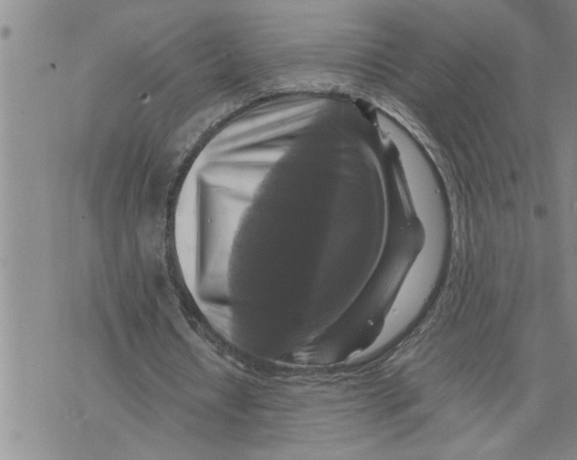 X0000075820434200610151459