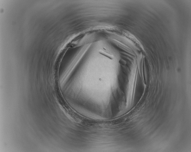 X0000075820436200610151459