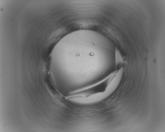X0000075820456200610151459