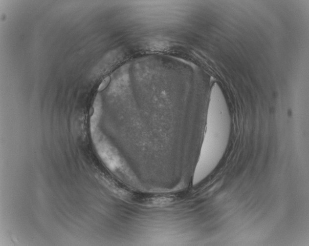 X0000075820462200610151459