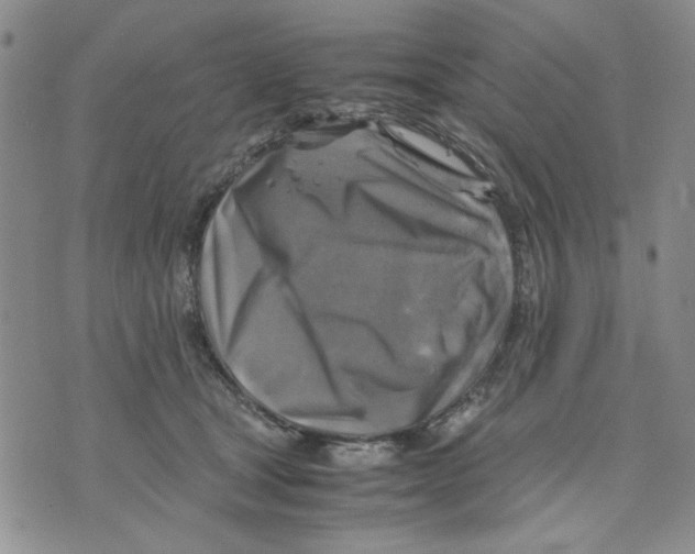 X0000075820465200610151459