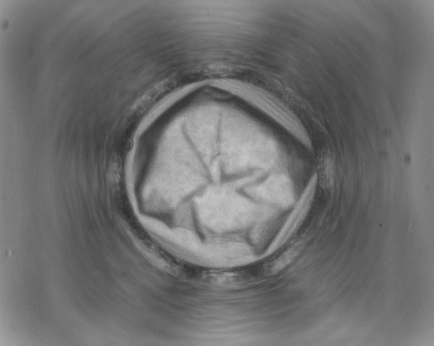 X0000075820472200610151459
