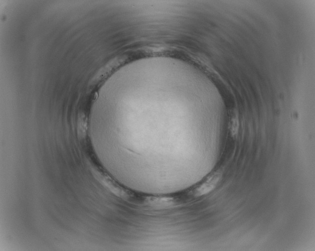 X0000075820476200610151459