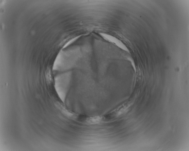 X0000075820479200610151459