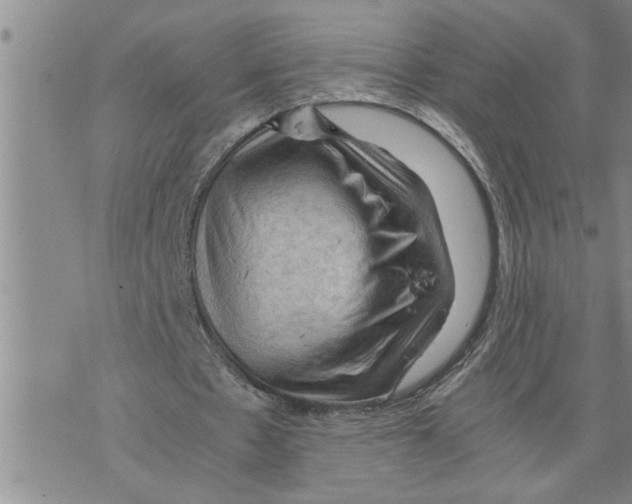 X0000075820481200610151459