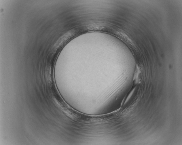 X0000075820490200610151458