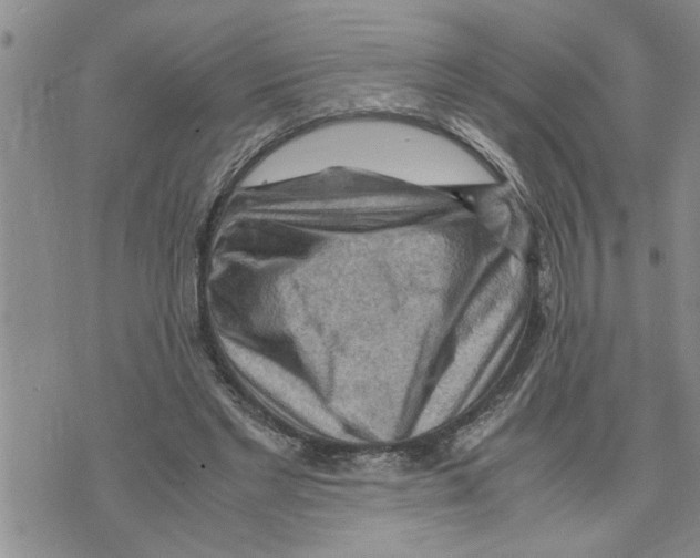 X0000075820493200610151458