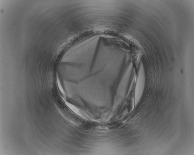 X0000075820496200610151458