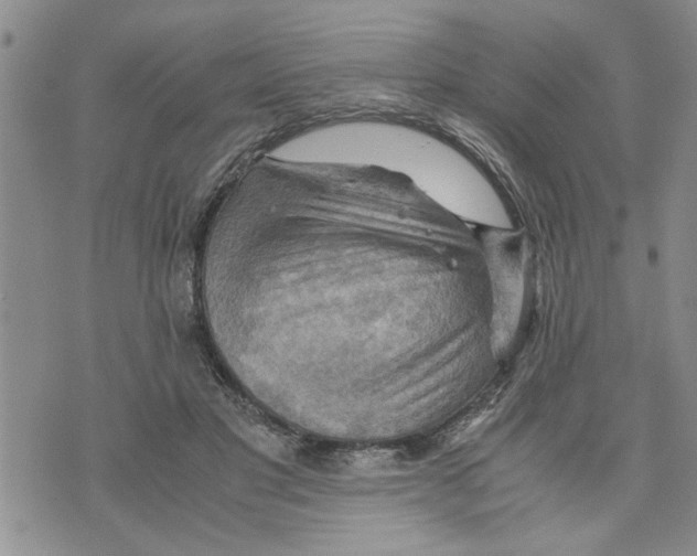X0000075820501200610151458