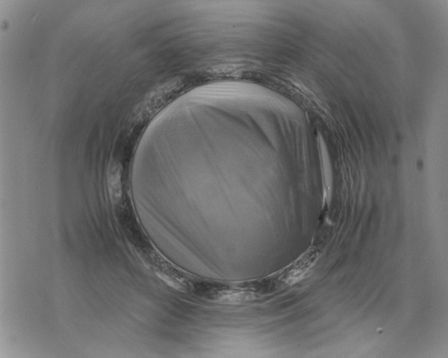 X0000075820504200610151458