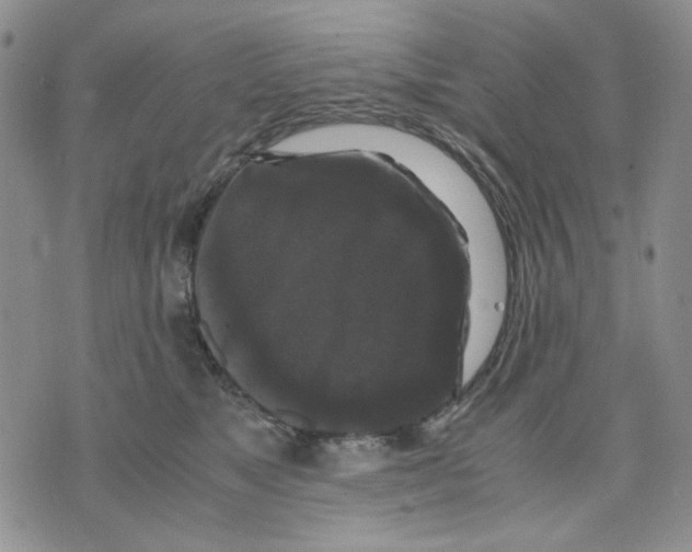 X0000075820517200610151458