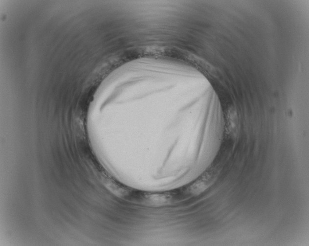 X0000075820522200610151458