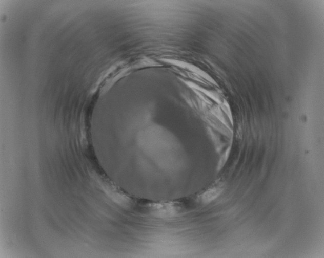 X0000075820524200610151458