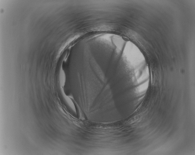 X0000075820531200610151457