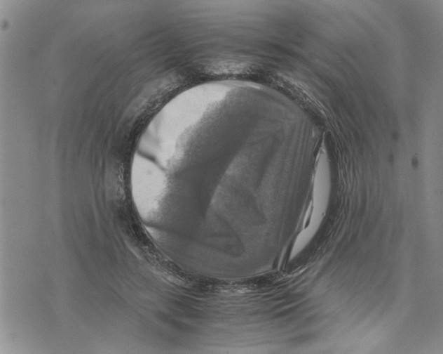 X0000075820547200610151457