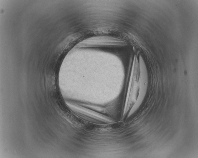 X0000075820548200610151457