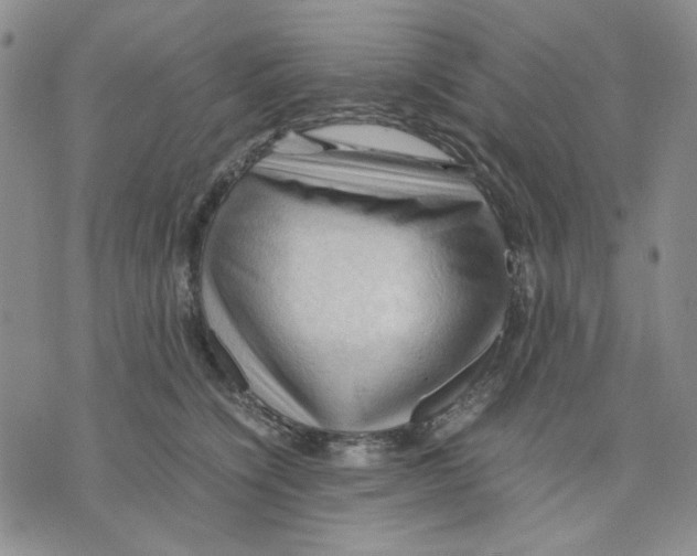 X0000075820564200610151458