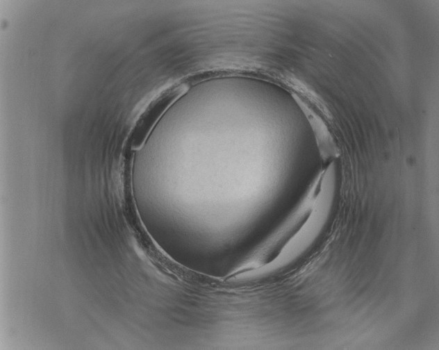 X0000075820580200610151457