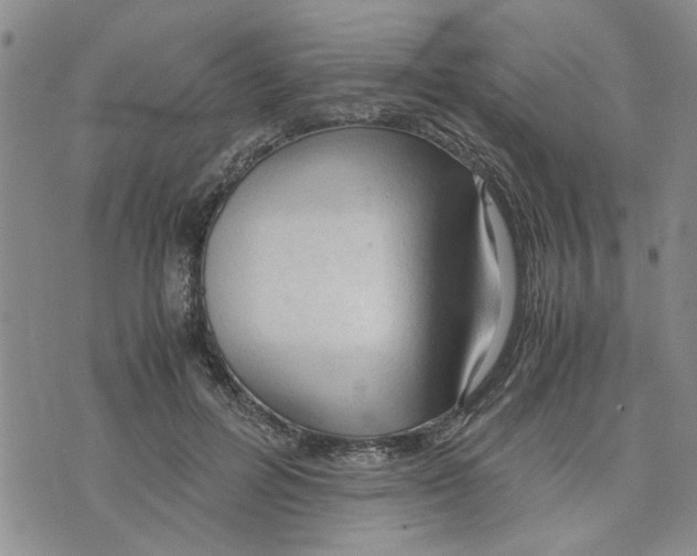 X0000075820600200610151457