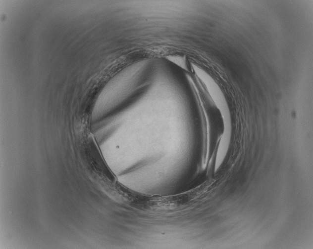 X0000075820601200610151457