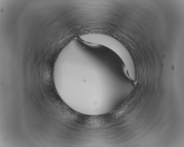 X0000075820608200610151456