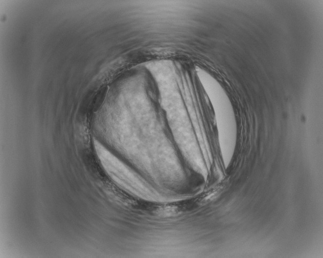 X0000075820609200610151456