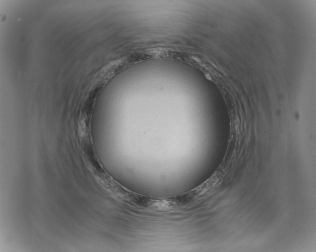 X0000075820611200610151456