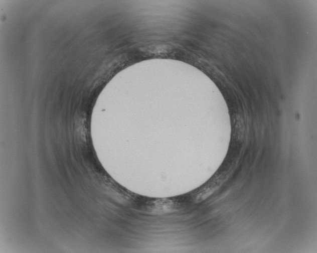 X0000075820612200610151456