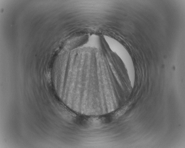 X0000075820613200610151456