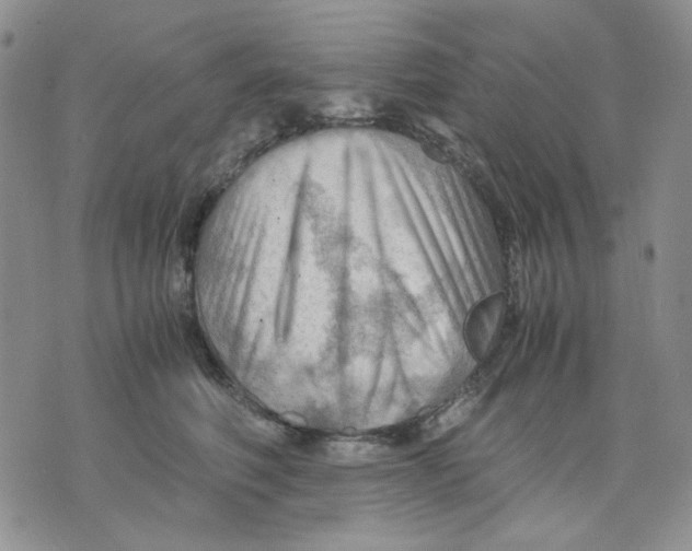 X0000075820614200610151456