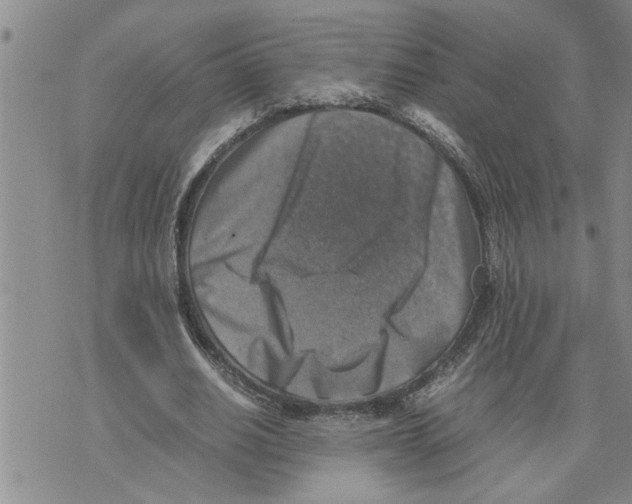 X0000075820630200610151456