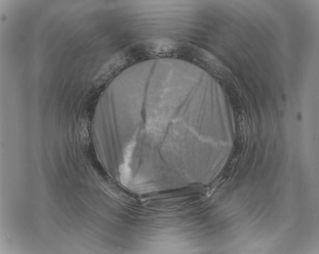 X0000075820654200610151456