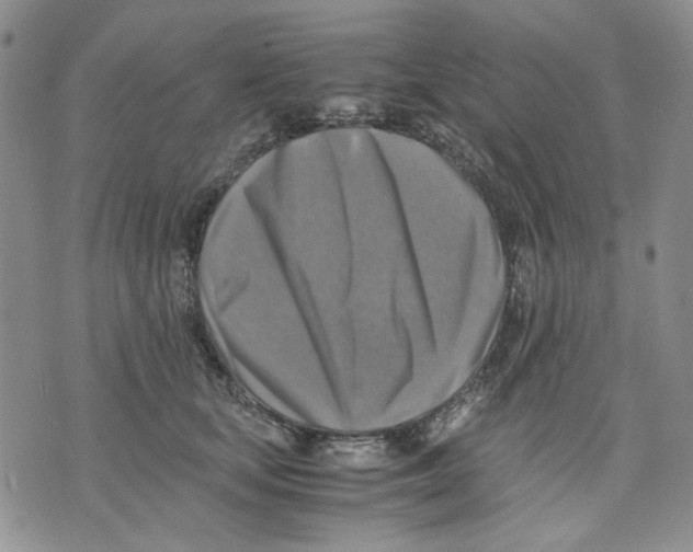 X0000075820659200610151456