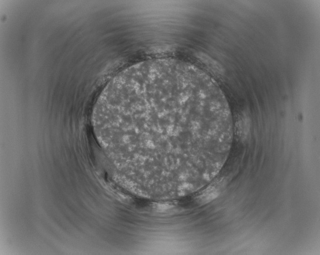 X0000075820662200610151456