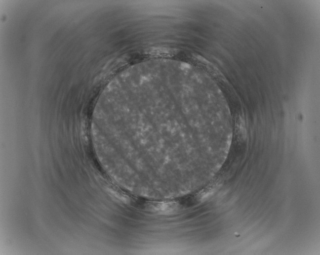 X0000075820663200610151456