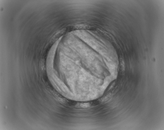 X0000075820665200610151456