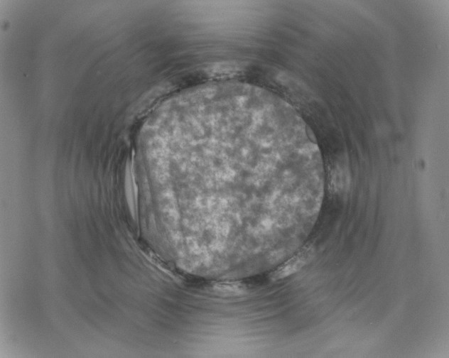 X0000075820666200610151456
