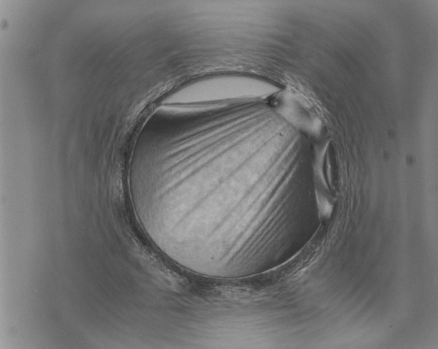 X0000075820681200610151455