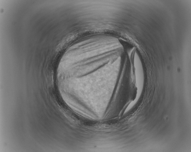 X0000075820685200610151455